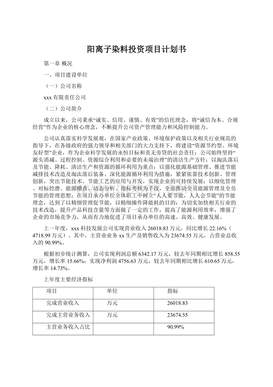 阳离子染料投资项目计划书Word格式.docx