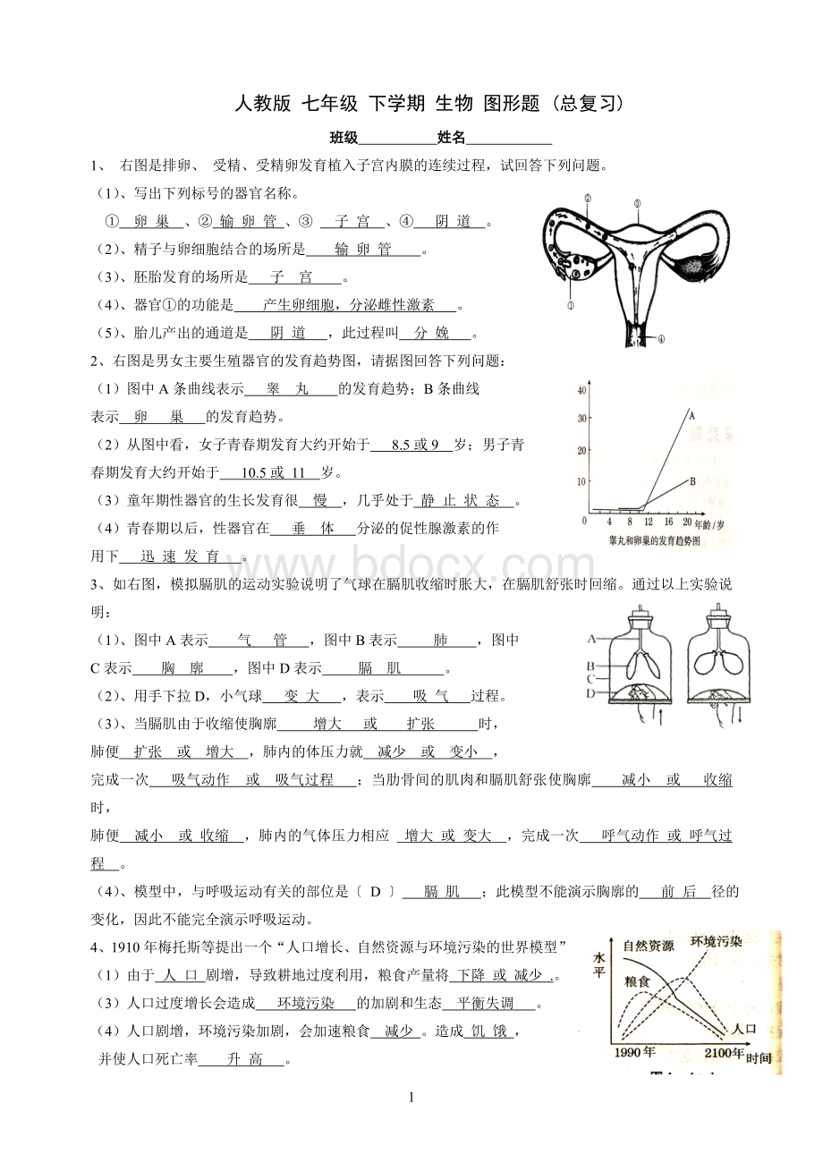 七年级下册生物看图测试题Word下载.doc_第1页