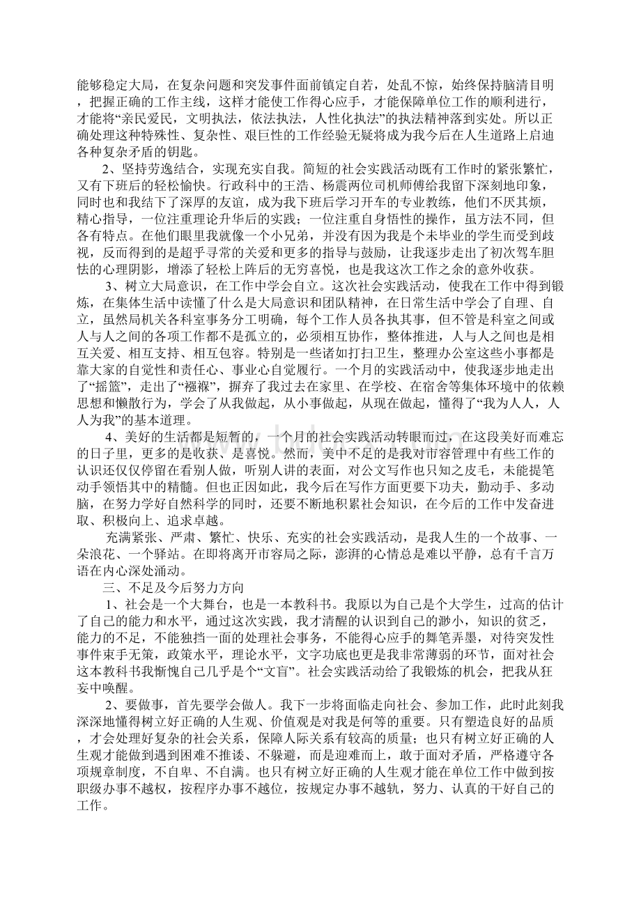 假期实践活动总结.docx_第3页