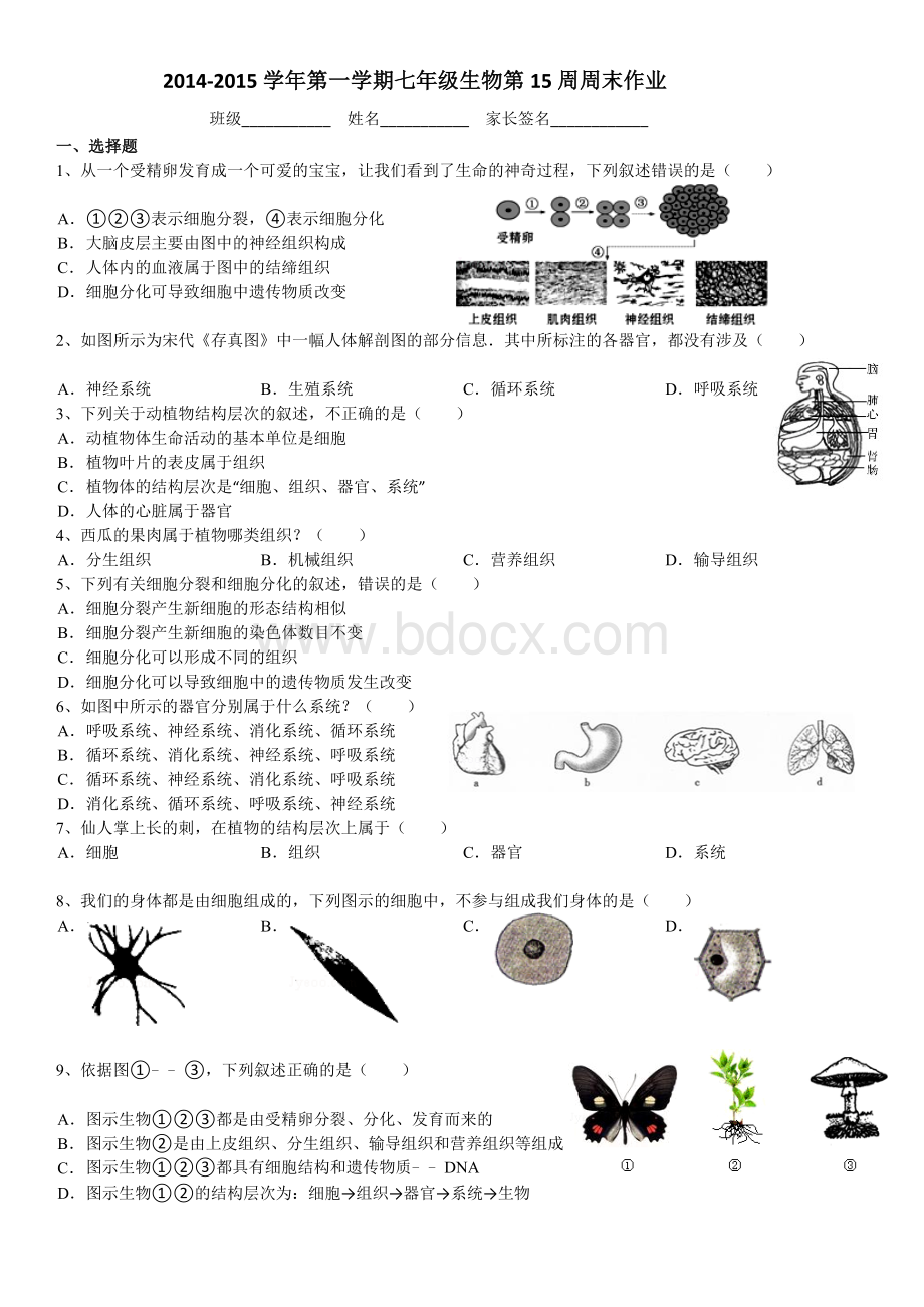 生物体的结构层次单元测试题.doc