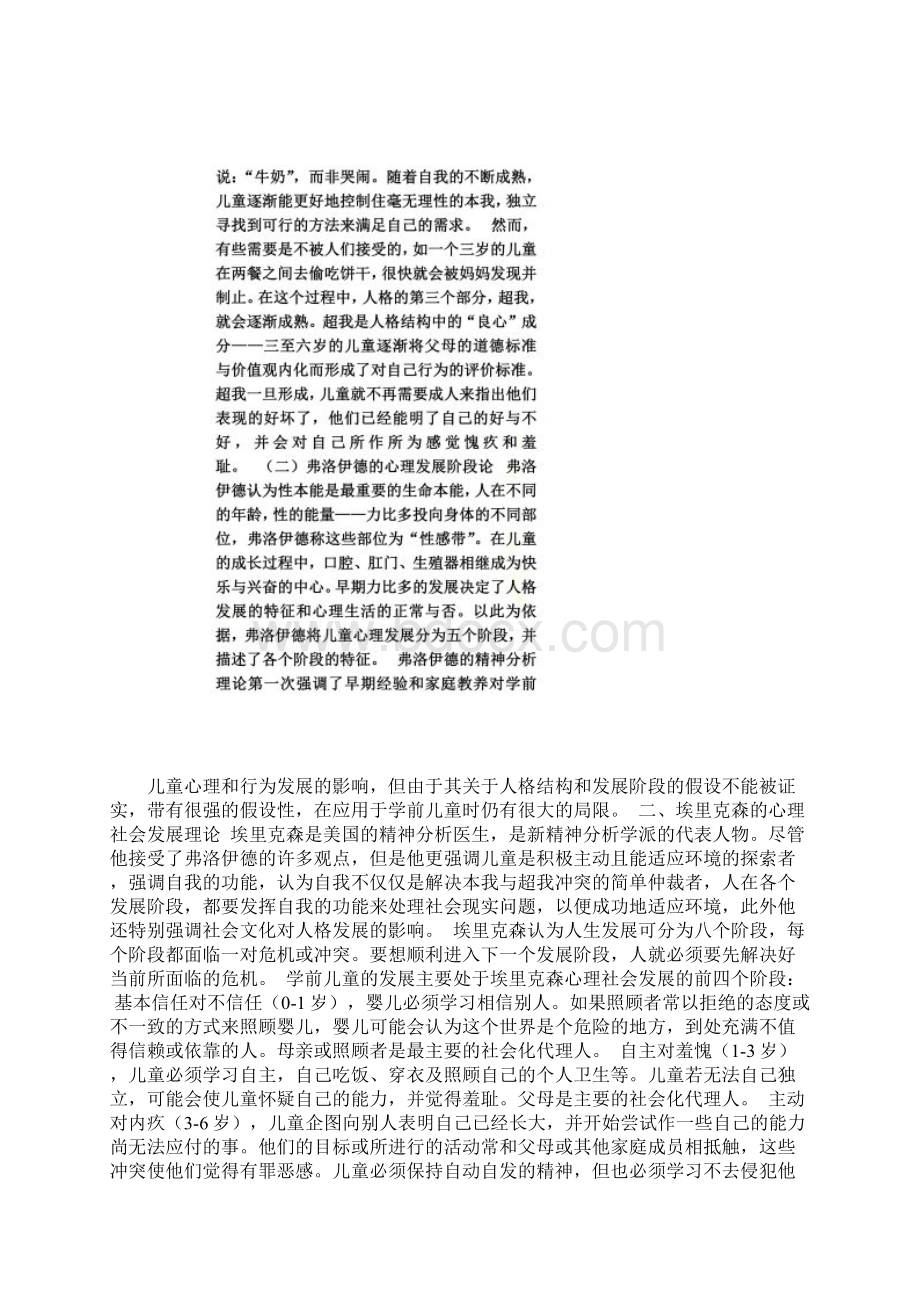 学前儿童发展的理论.docx_第2页