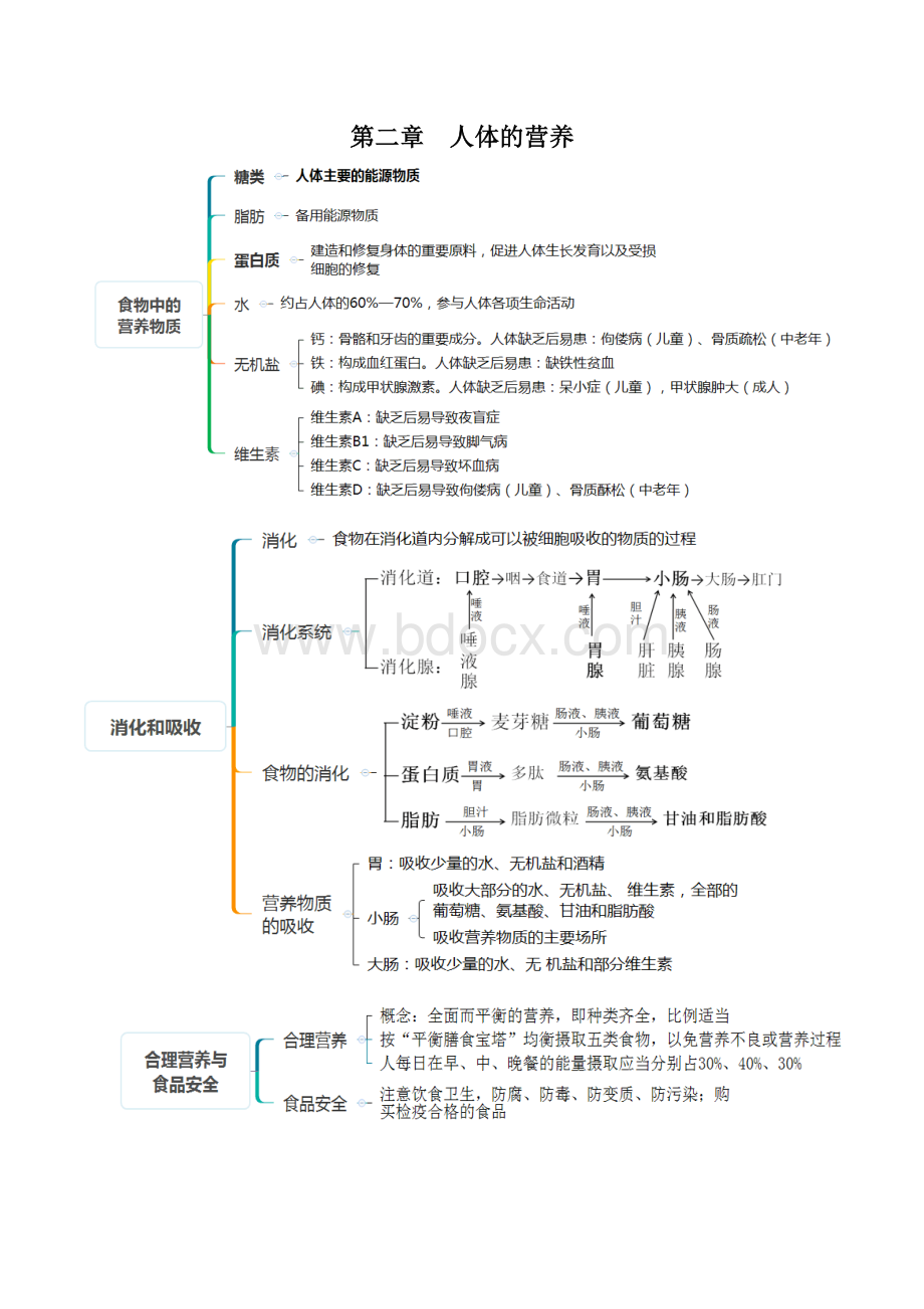 人教版七年级生物下册考点(思维导图版).docx_第2页