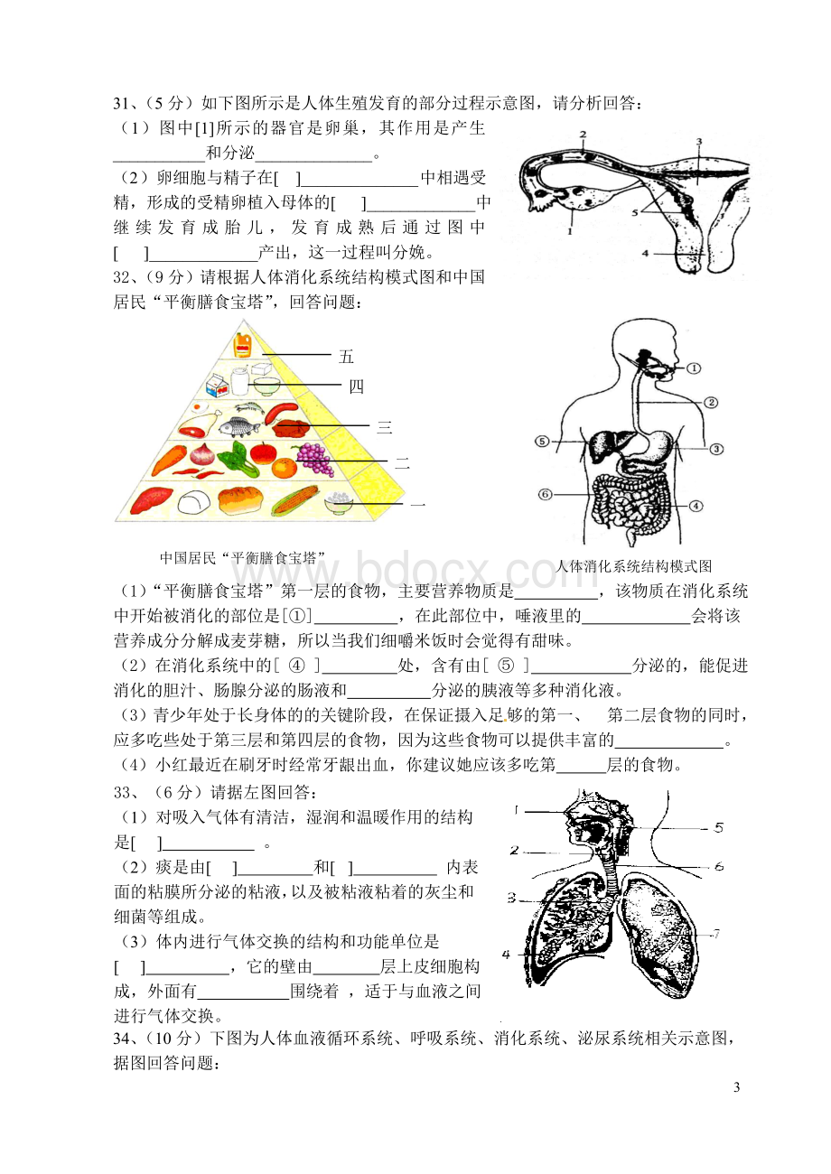 七年级生物下册期末考试卷及答案.doc_第3页