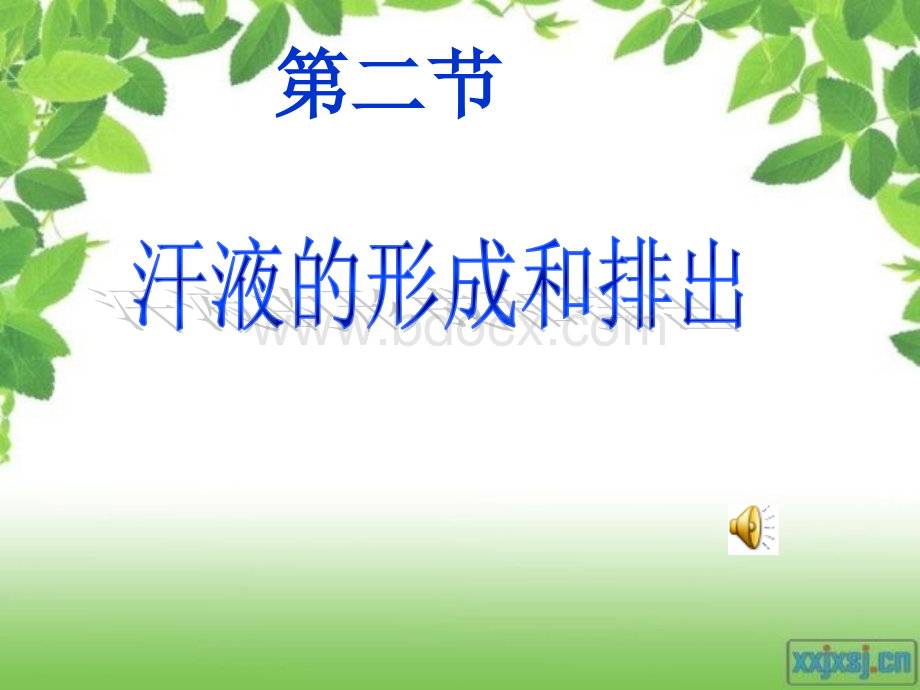 汗液的形成和排出课件.ppt