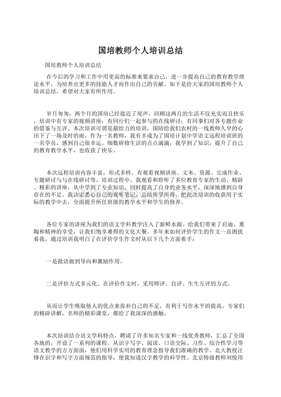 国培教师个人培训总结Word格式.docx