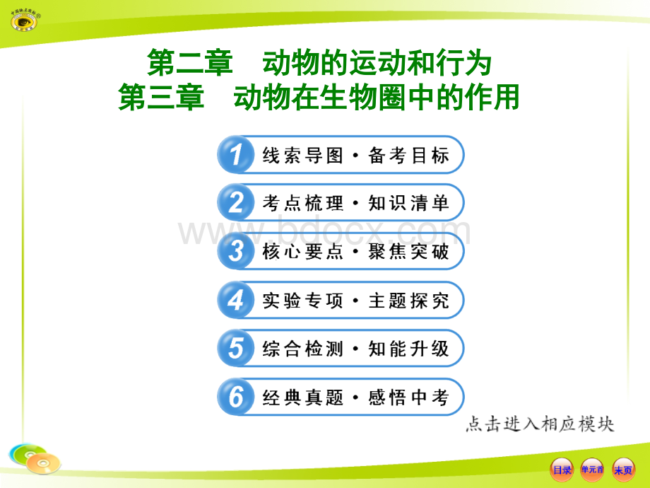 动物的运动和行为以及动物在生物圈中的作用复习【课件】.ppt