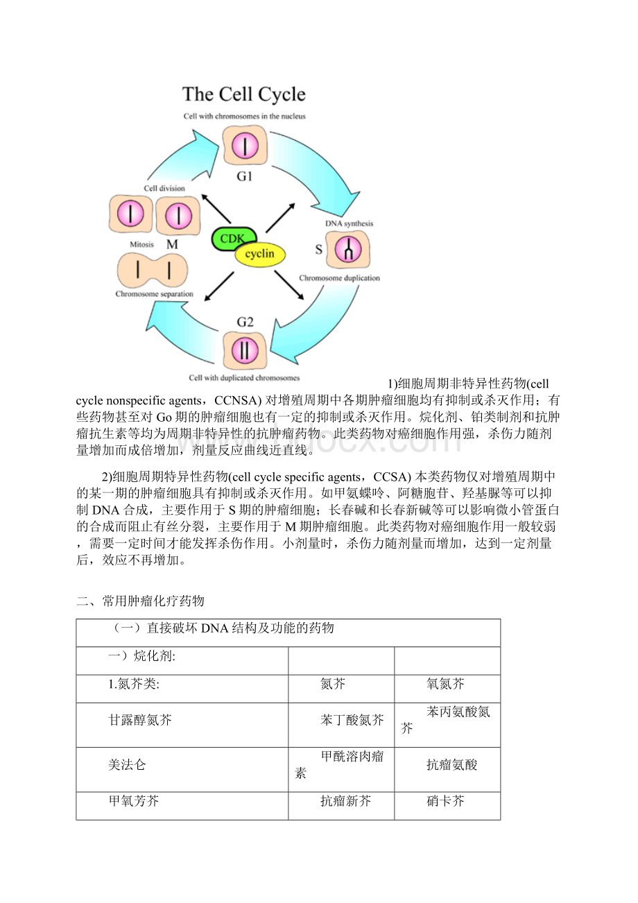 肿瘤治疗基本知识Word下载.docx_第2页