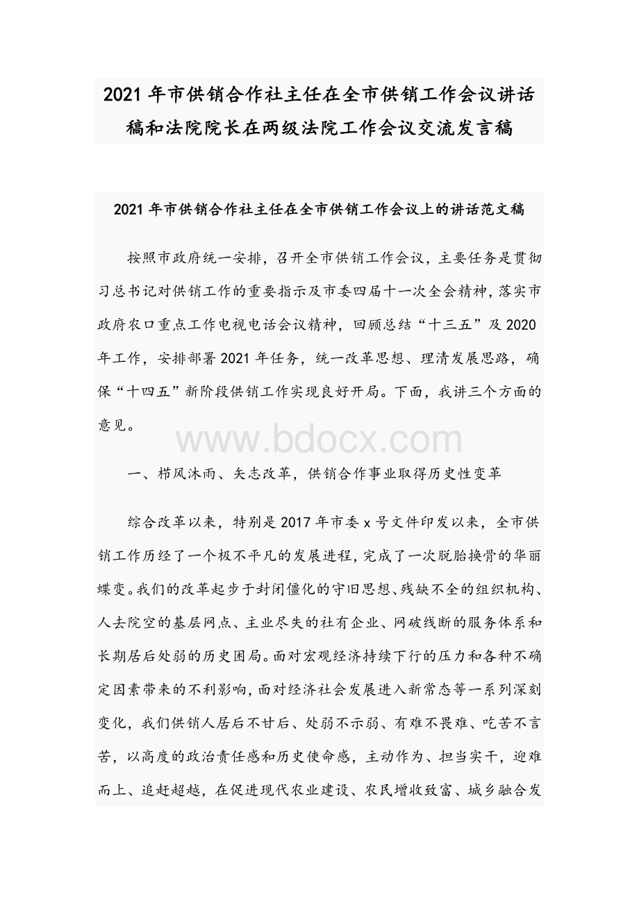 2021年市供销合作社主任在全市供销工作会议讲话稿和法院院长在两级法院工作会议交流发言稿.docx