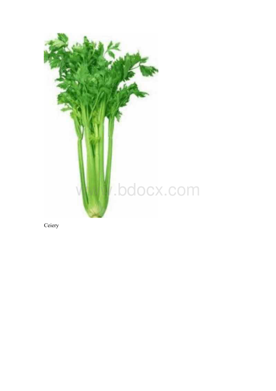 蔬菜水果图片大全docx.docx_第2页
