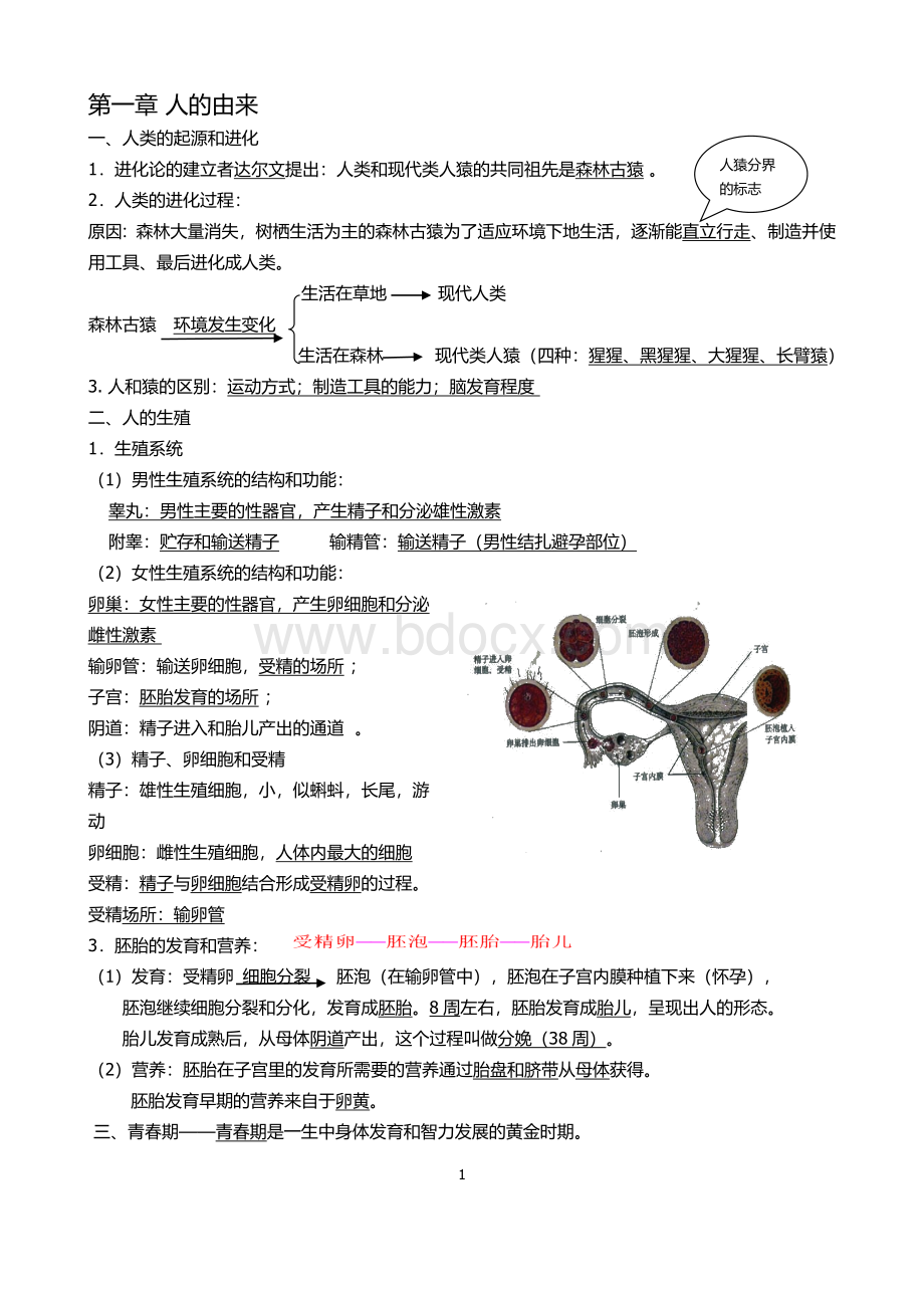 初中生物-七年级下册知识点整理.doc