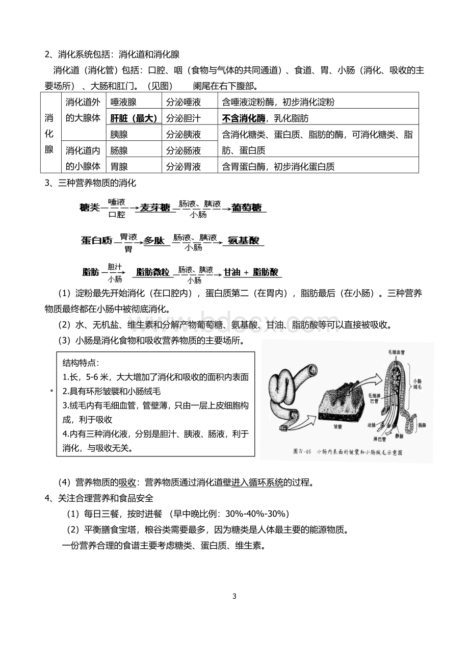 初中生物-七年级下册知识点整理.doc_第3页