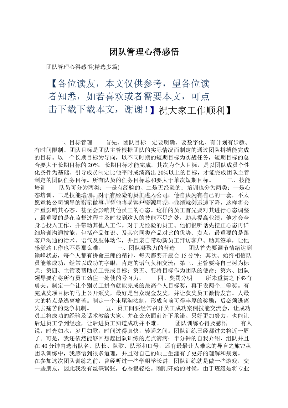 团队管理心得感悟Word下载.docx