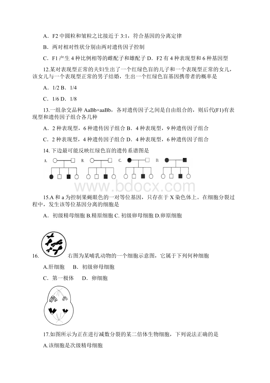 高二下学期期中考试生物试题 含答案VI.docx_第3页