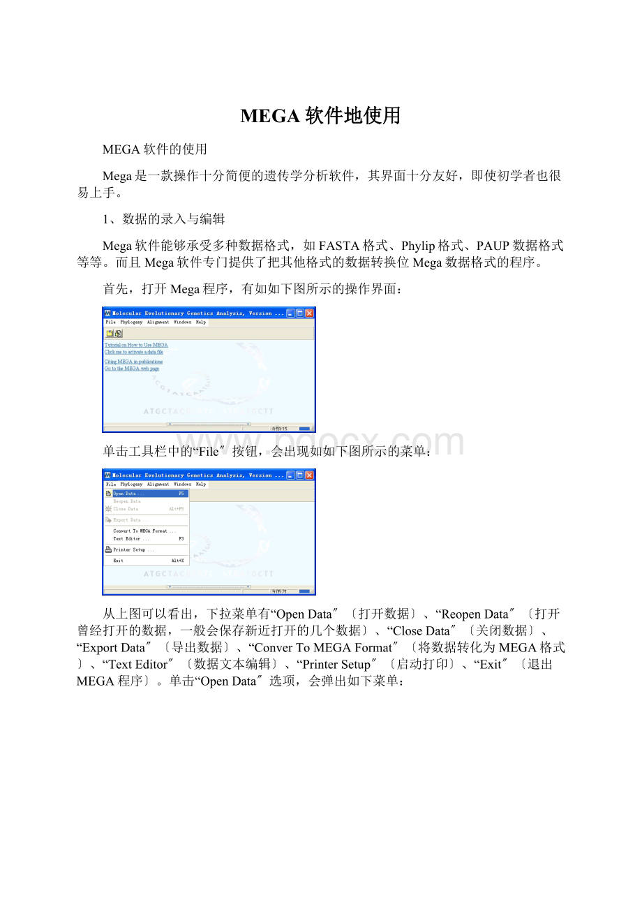 MEGA软件地使用.docx_第1页