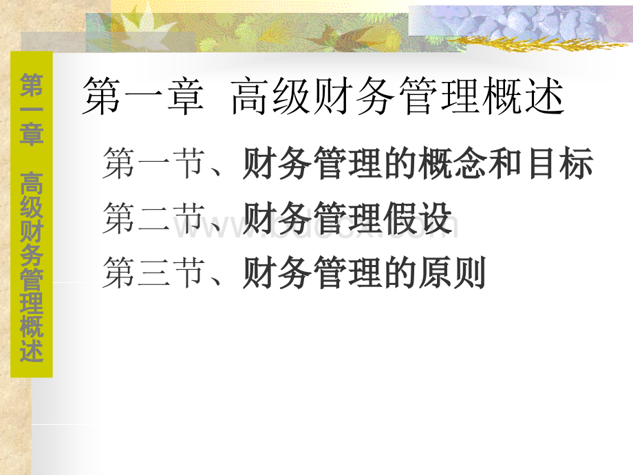 高级现代管理学课件第一章高级财务管理概述.ppt_第2页