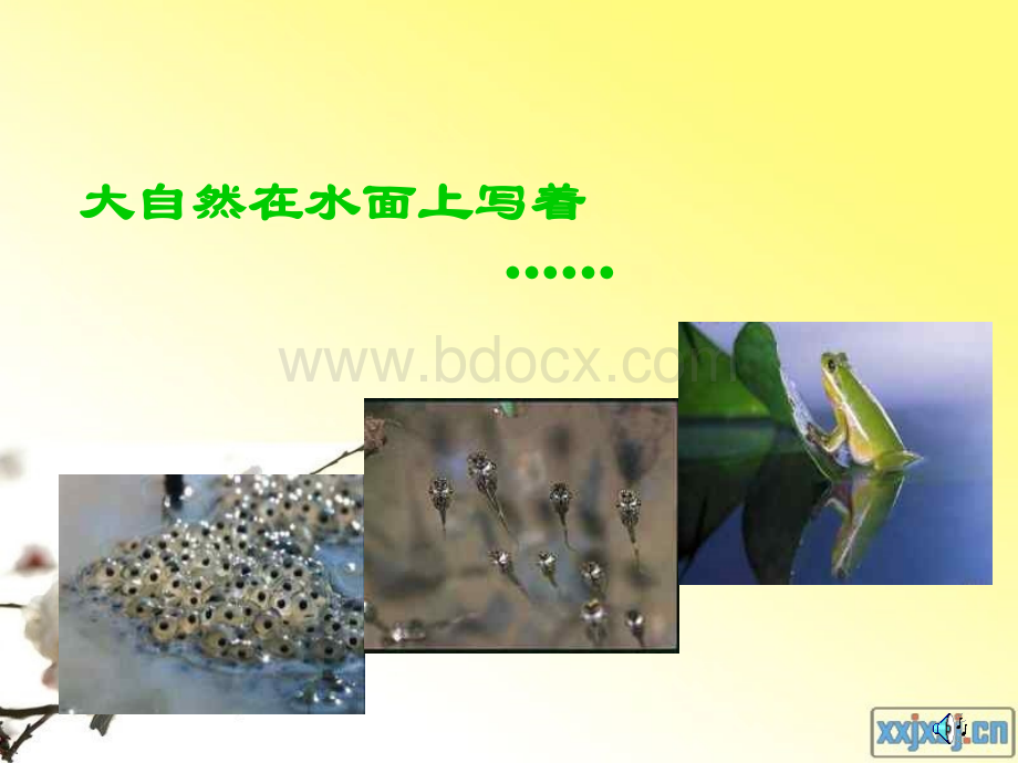 《大自然的语言课件》优秀课件优质PPT.ppt_第2页