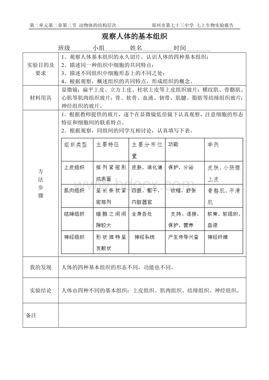 观察人体的基本组织实验报告Word格式文档下载.doc_第1页