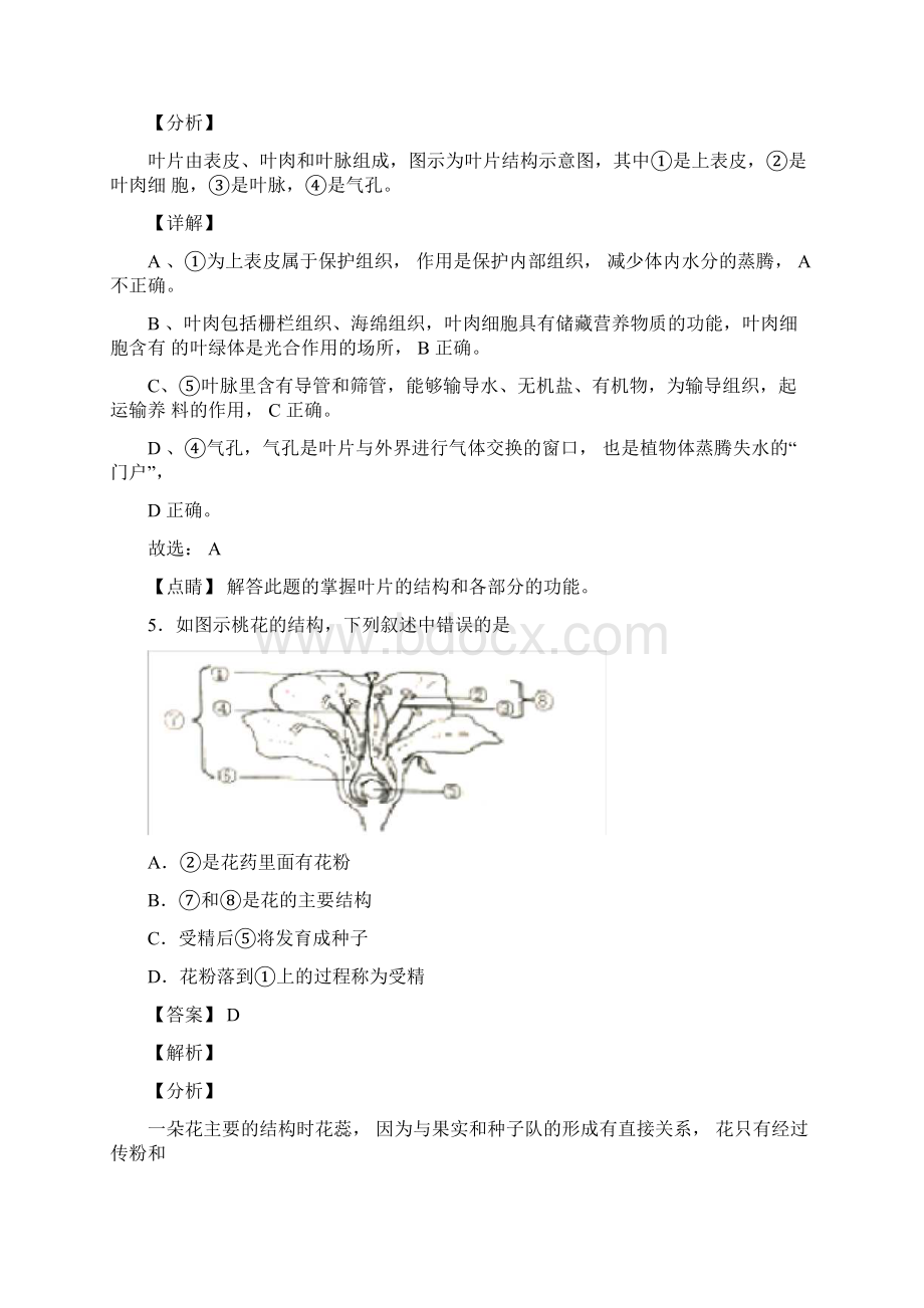 被子植物的一生习题含答案.docx_第3页