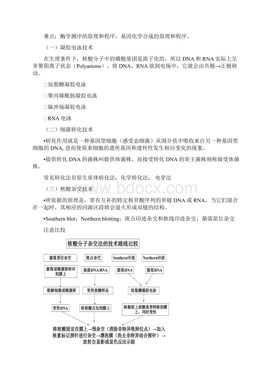 基因工程原理教案Word格式文档下载.docx_第2页