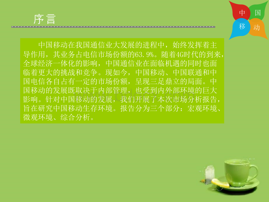 中国移动市场营销环境调研报告.ppt_第2页