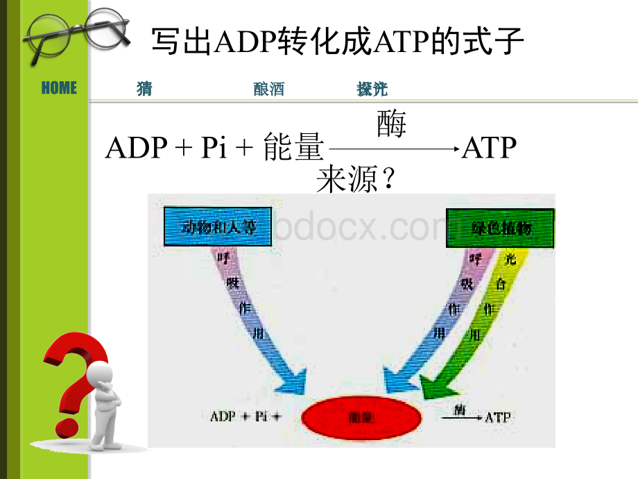 生物：5.3《探究酵母菌细胞呼吸的方式》课件(新人教必修1)PPT推荐.ppt_第2页