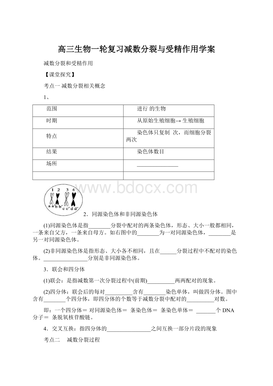 高三生物一轮复习减数分裂与受精作用学案.docx