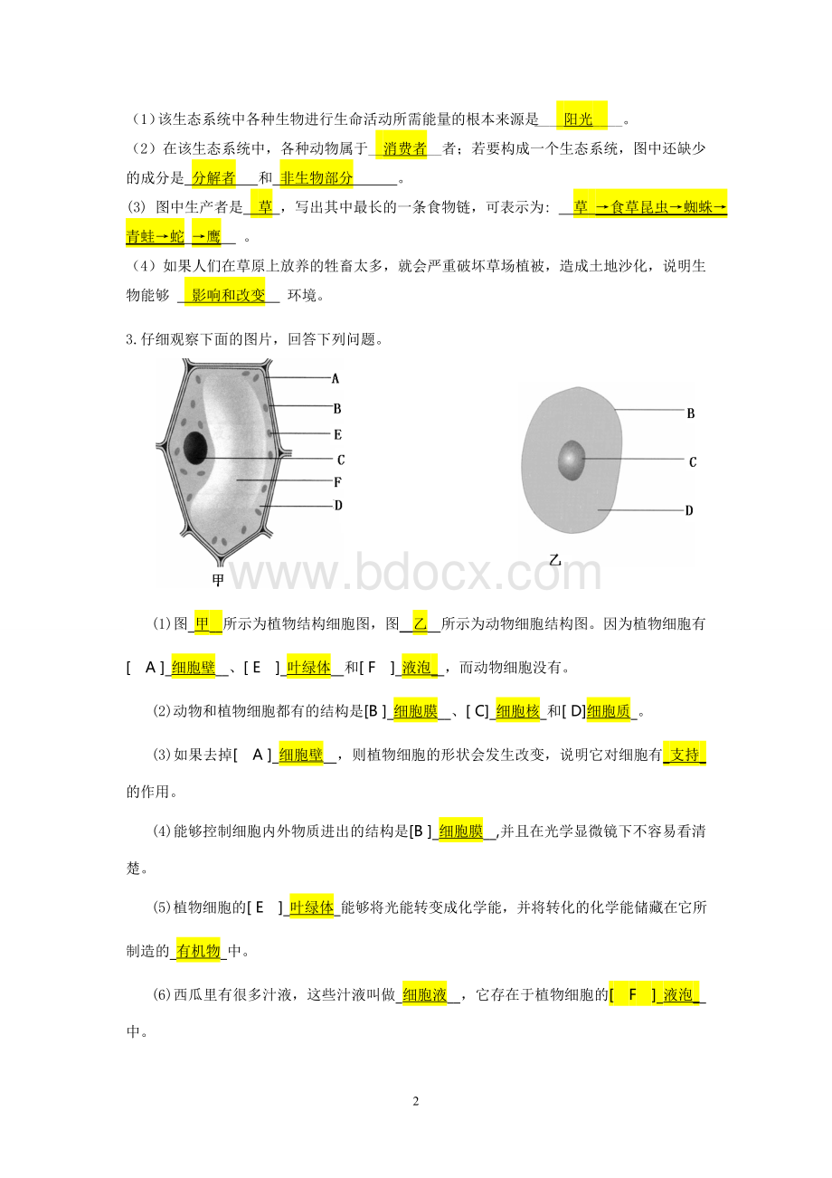 新人教版七年级生物上册识图题Word文件下载.doc_第2页