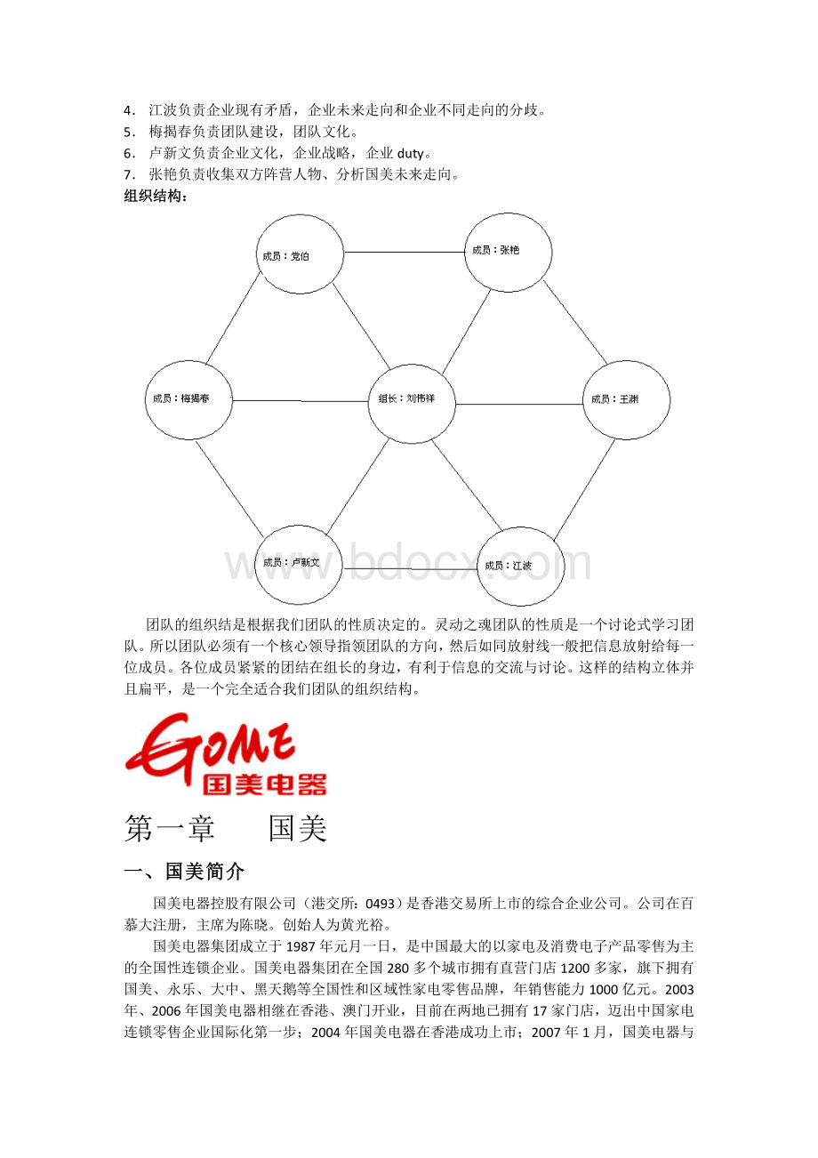 国美组织结构分析报告.docx_第3页