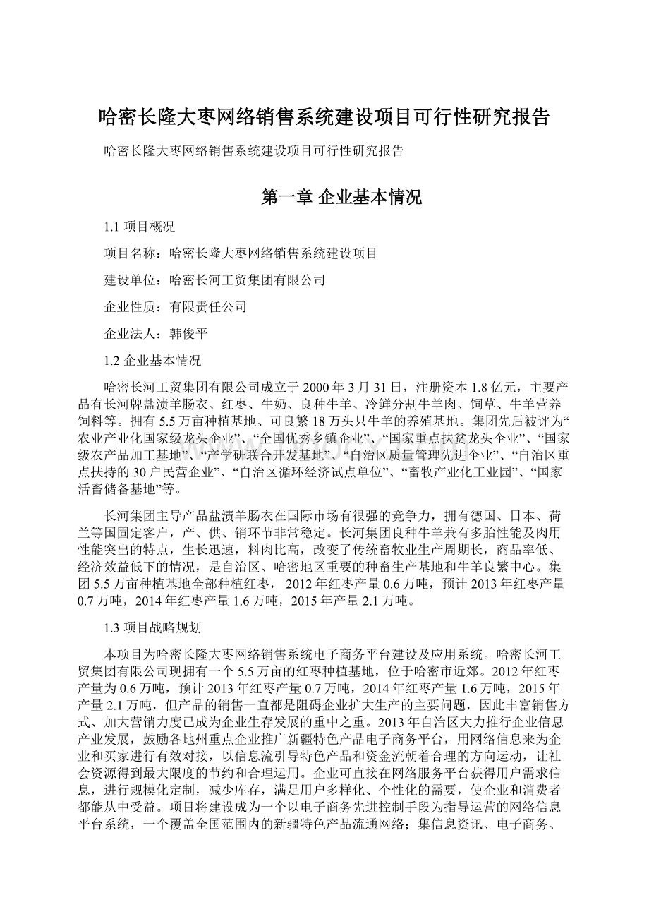 哈密长隆大枣网络销售系统建设项目可行性研究报告.docx