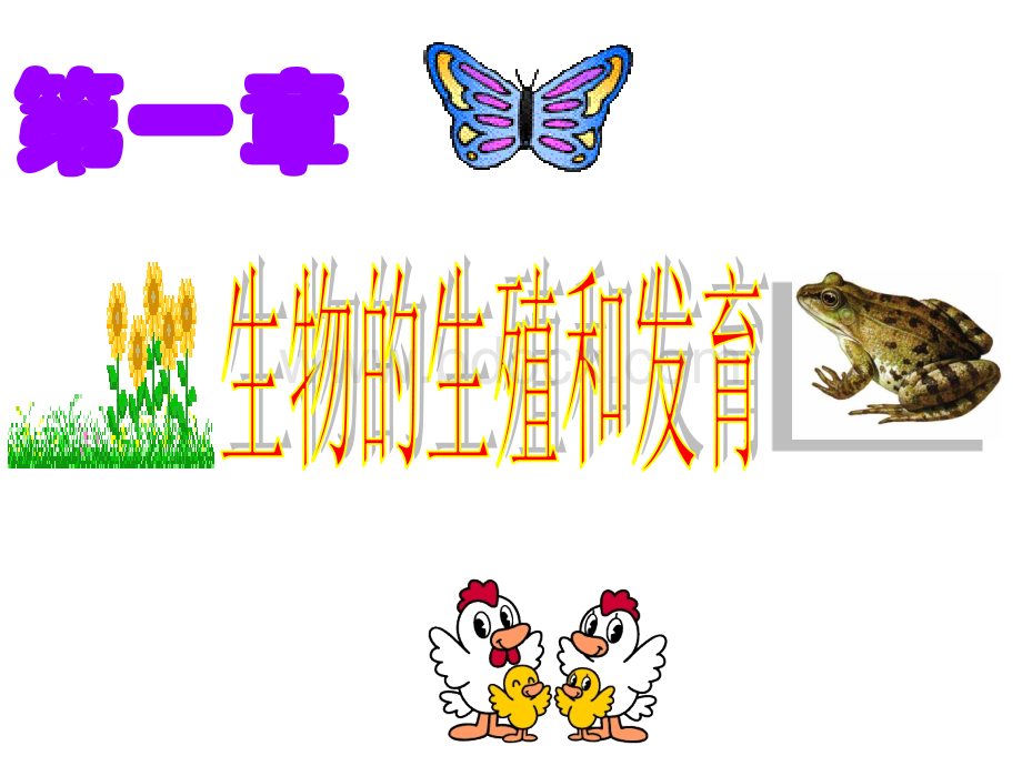 八年级生物(下)复习.ppt_第2页