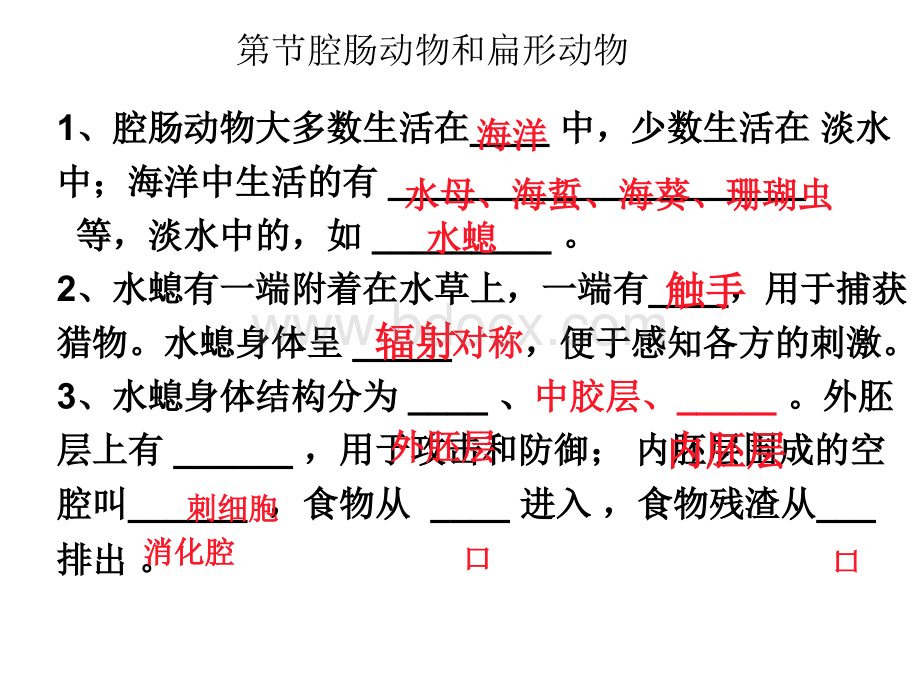 最新人教版八年级生物上册复习课件.ppt_第2页