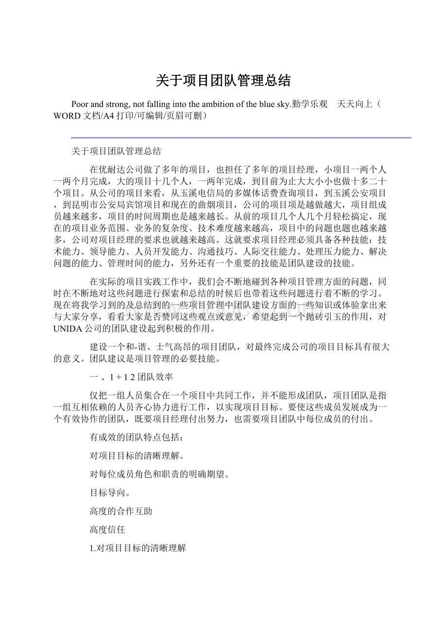 关于项目团队管理总结Word文档下载推荐.docx_第1页