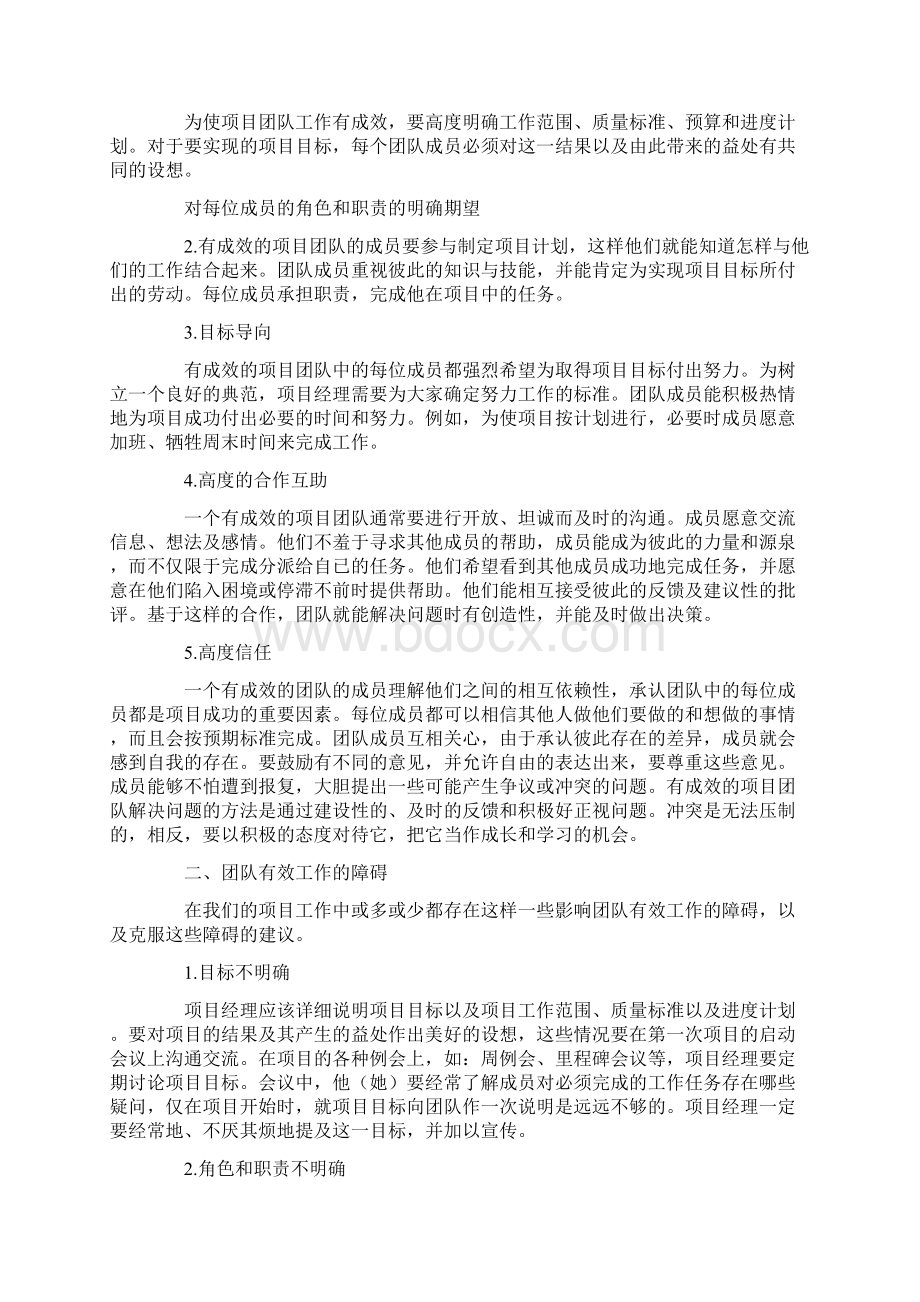 关于项目团队管理总结Word文档下载推荐.docx_第2页