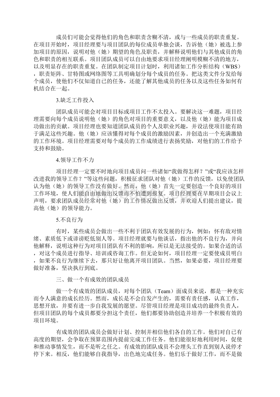 关于项目团队管理总结Word文档下载推荐.docx_第3页