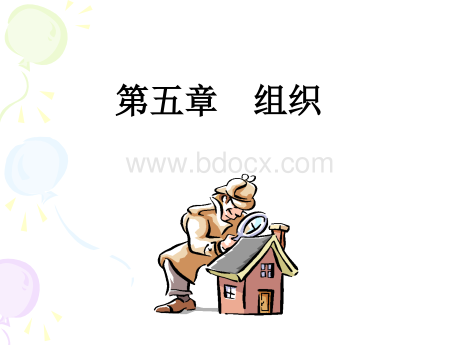 第五章：组织.ppt