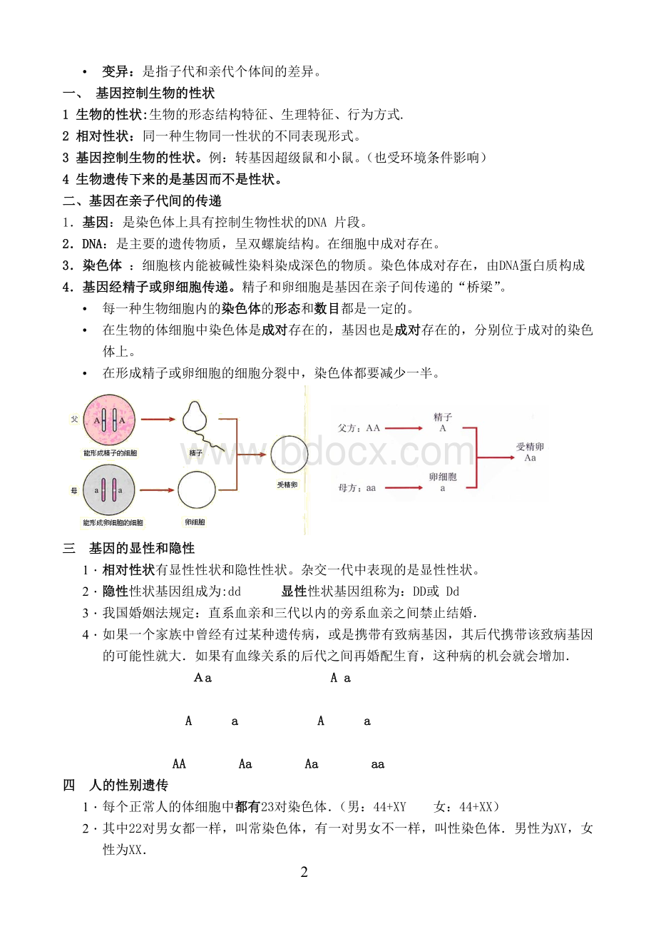 八年级下册生物复习提纲.doc_第2页