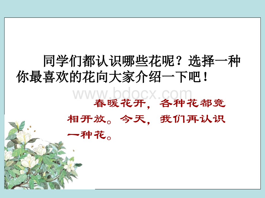 《广玉兰》ppt课件(54页).ppt_第1页