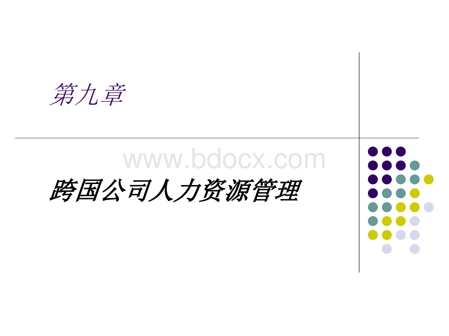 第九章跨国公司人力资源管理PPT推荐.ppt