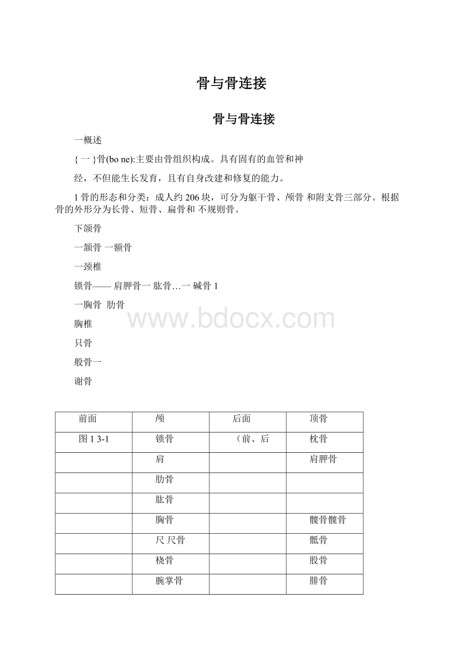 骨与骨连接.docx