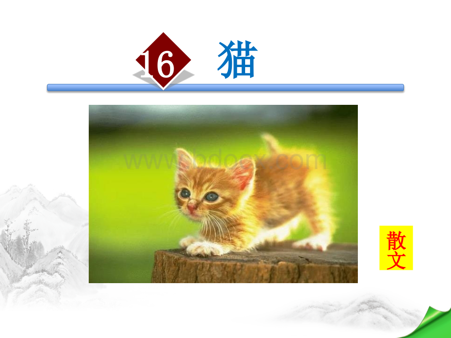 16.《猫》PPT文件格式下载.pptx