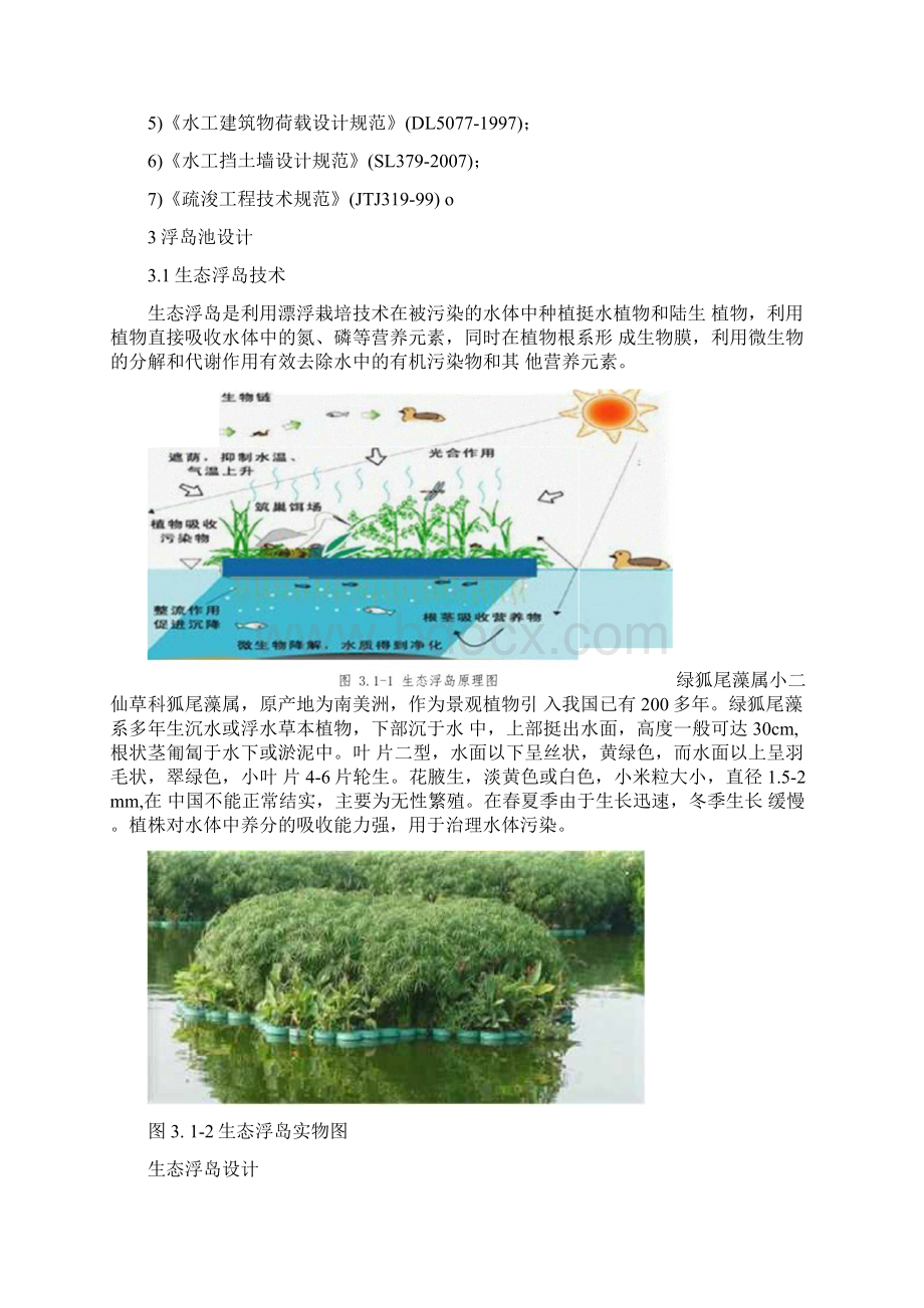 生态浮岛湿地设计说明.docx_第2页