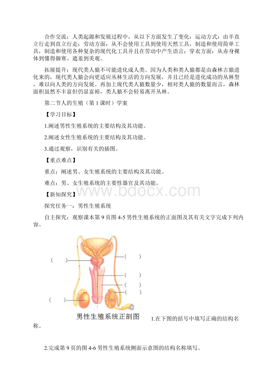 7A版人教版初中生物七年级下册学案全套Word文件下载.docx_第3页