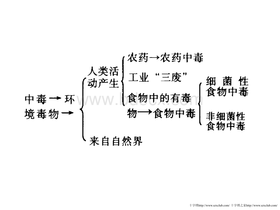 人的自身保护-九年级(初三)生物课件PPT资料.ppt_第1页