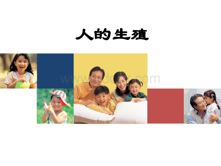 人的生殖说课课件.ppt