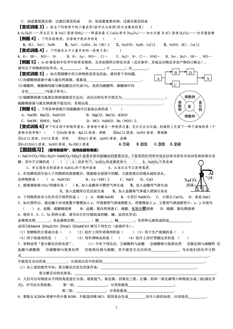 鲁教版九年级《海水制碱》单元跟踪练习题Word下载.doc_第2页