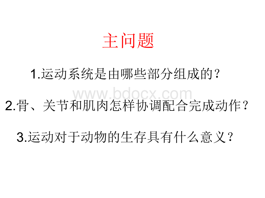 第一节--动物的运动ppt用PPT文档格式.pptx_第3页