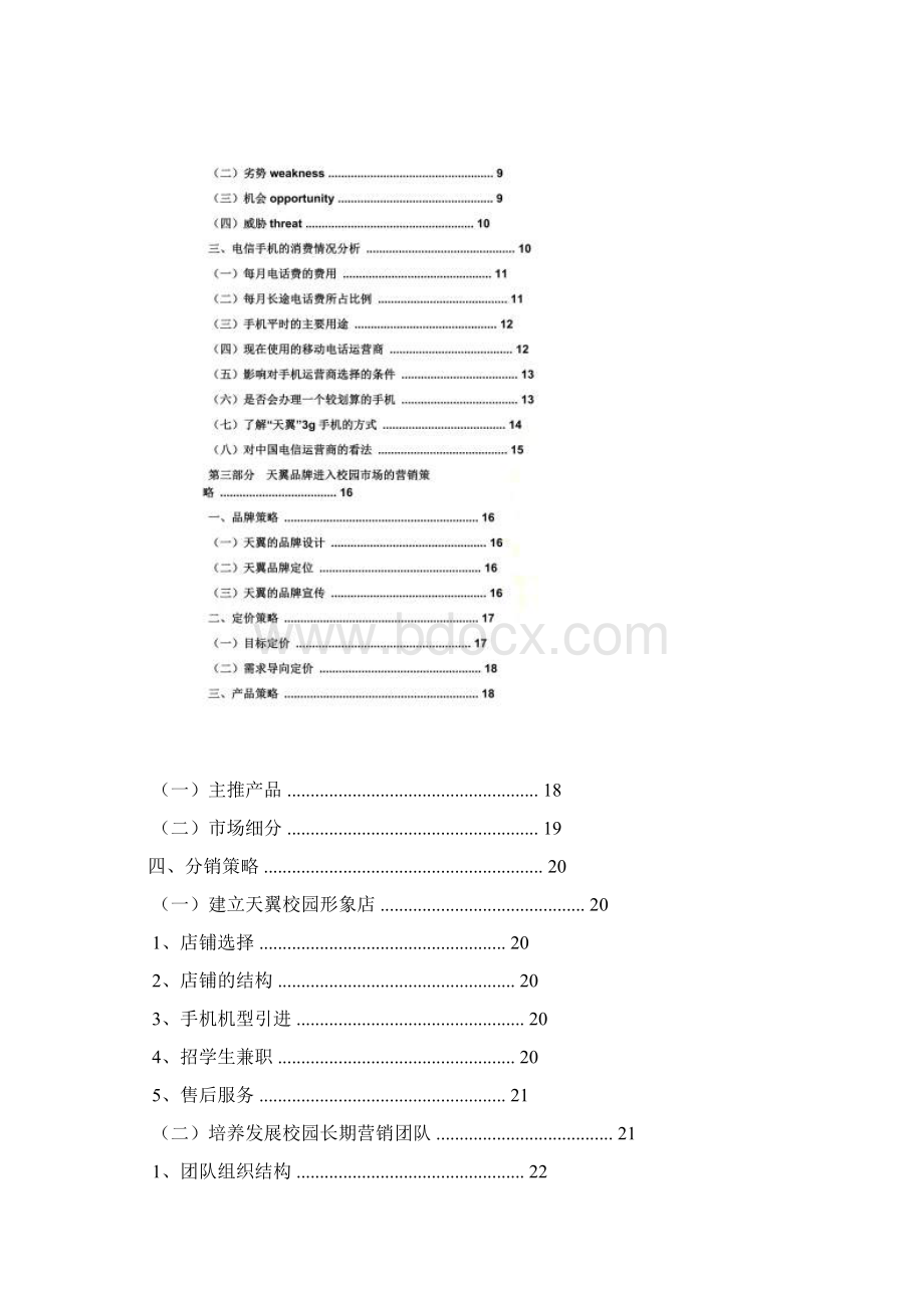 中国电信策划方案.docx_第3页