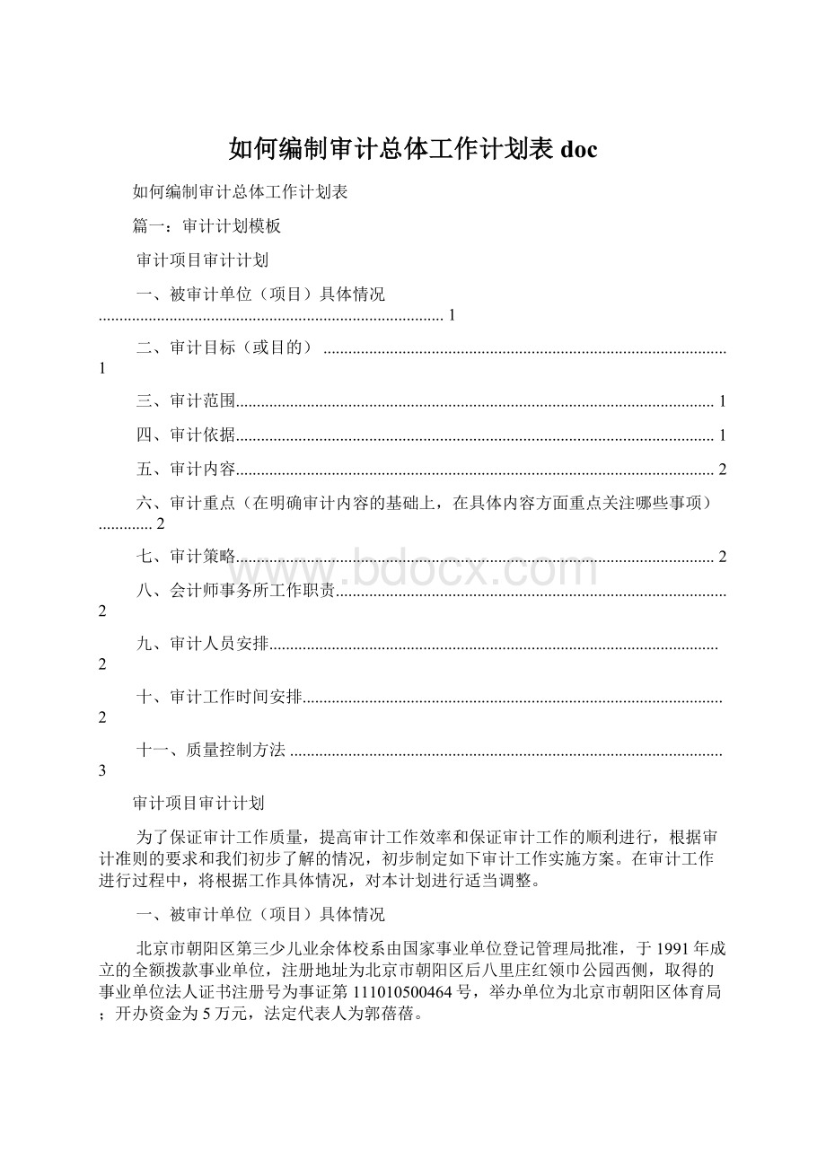 如何编制审计总体工作计划表docWord下载.docx_第1页