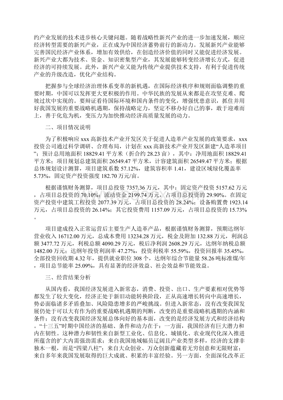 人造革项目经营分析报告项目总结分析.docx_第2页