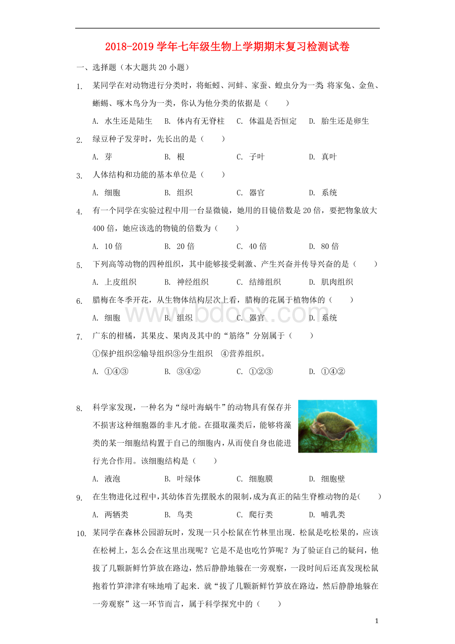 七年级生物上学期期末复习检测试卷.doc